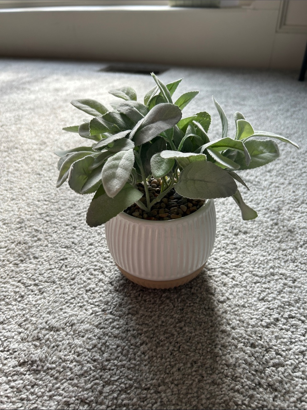 Hobby Lobby Faux Sage in White Ribbed Ceramic Pot